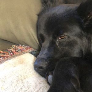 Meet your Posher, Stephen